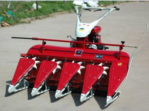 Changfang diesel rice reaper machine